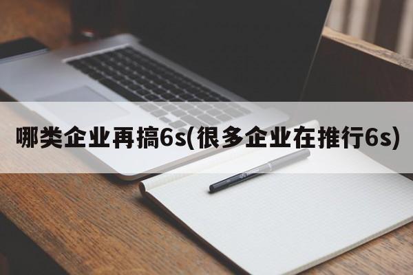 哪类企业再搞6s(很多企业在推行6s)